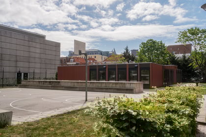 Edith Stein College WEB-20