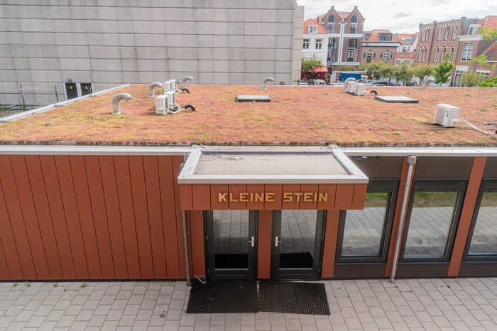 Edith Stein College WEB-25